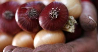Onion output to hit record high of 203 lakh tonnes in 2015-16
