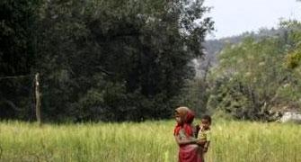 India Shining! Forest land wiped away for industrial projects
