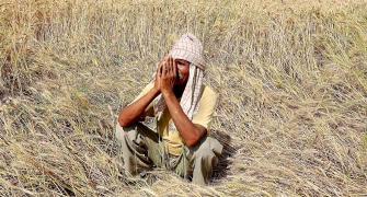 Not just rich farmers, even agri cos with Rs 215 cr profit pay no tax