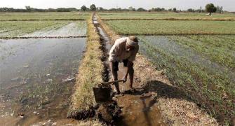 Land reforms fail, only 5% of India's farmers control 32% land