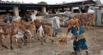 Budget 2018: What the rural sector can expect