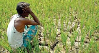 Karnataka's farm distress is a sore point for BJP