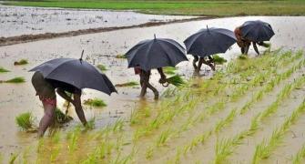 Southwest monsoon has been fairly normal this year: IMD