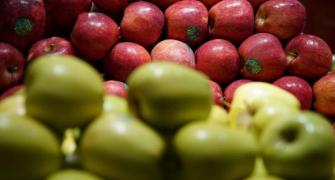 Apples, almonds, walnuts from US to attract 50% higher tax