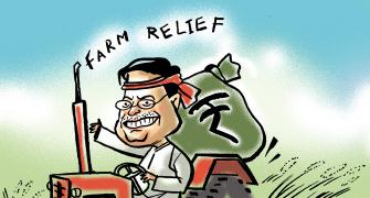 Goyal bets the farm on rural sector in election year push