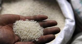 Non-basmati rice export falls as tax sops are removed