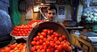 Tomato prices likely to rise by 5-10%