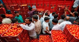 Tomato prices skyrocket to Rs 93 per kg in metros