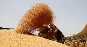 'Where has surplus wheat stocks gone?'