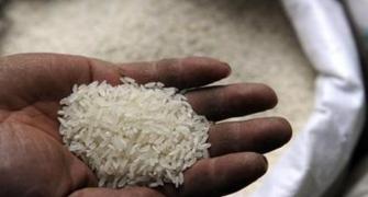 India imposes 20% export duty on non-Basmati rice