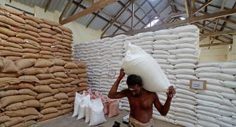 Basmati rice exports rose 22% till February FY24
