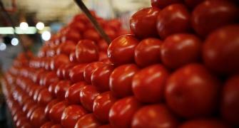 Tomato prices may touch Rs 300/kg in coming days!
