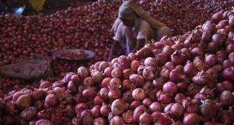 Govt to procure 200K-tonne onions amid farmer protest