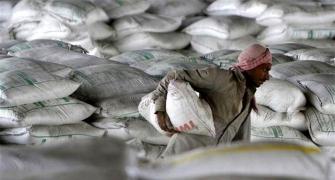 Cement sector profits seen weak despite strong sales