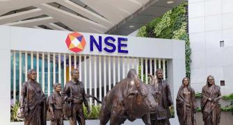 NSE Bull Gets A Human Family