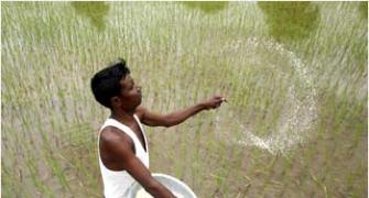 A tough year for farmers in India, says Agri Sec
