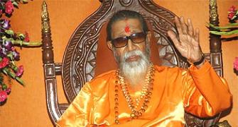 Thackeray plots a comeback to revive Sena