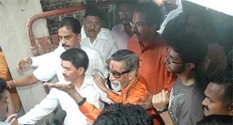 Images: The Thackerays, Tendulkar vote 