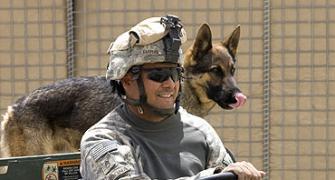 A canine boost for US in Afghanistan