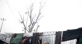 Bitter winter a nightmare for Delhi's homeless