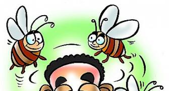 Amid wanna-'bees': It's a family affair