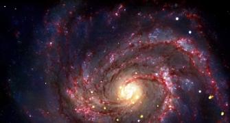 SCINTILLATING PIX: Nearest supernova in 40 years