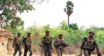 '8,000 killed in final phase of Lanka's civil war'
