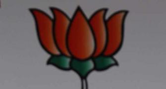 'Modi can be mascot who will bring BJP to power'