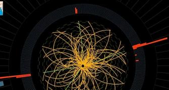 Dummies' guide to the 'God Particle'