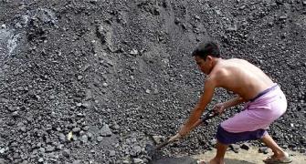 Coalgate verdict: What affected firms have to say