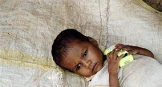 Food Security Bill will push India toward malnutrition: Modi