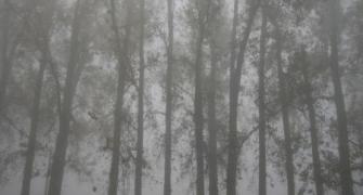 Intense cold grips North; fresh snowfall in Kashmir, Himachal