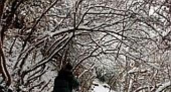 Kashmir: Heavy snow shuts Mughal Road, tourists stranded