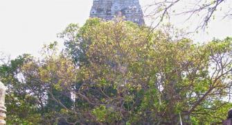 Bodh Gaya temple re-opens 36 hours after serial blasts