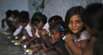 Mid-day meal SHOCKERS: Food for students tested on stray dogs