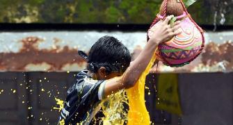 This dahi handi, the law was invisible
