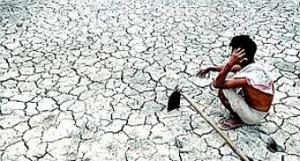 422 farmer suicides in Marathwada give BJP govt the jitters
