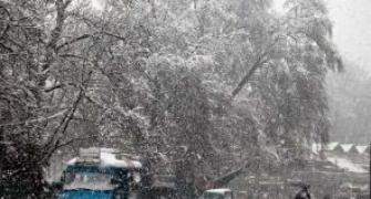 11 killed in avalanches, house collapse in J-K