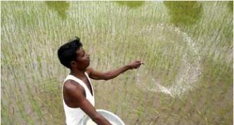Maha govt gets EC's nod on compensation for farmers