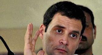 Rahul thought Congress is a lab, destroyed it: Ex-party MP