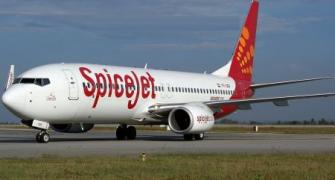 SpiceJet plane hits buffalo during take-off