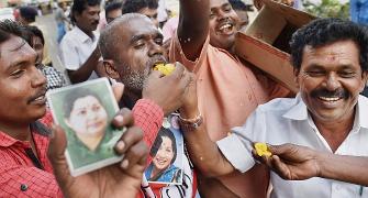 It's an early Diwali for Jaya's supporters