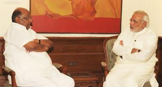 BJP-NCP alliance? No way, says Shiv Sena