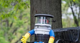 This cute hitchhiking robot didn't last 2 weeks in US