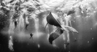 These STUNNING award-winning photos will make you want to travel