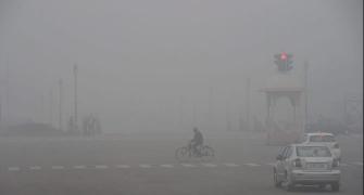 Cold wave hits North India; fog disrupts normal life