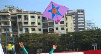 Kite runners, this Sankranti