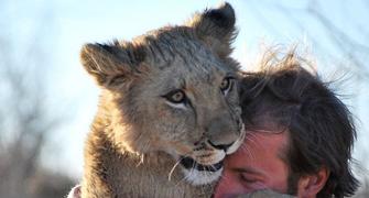 Meet the lion hugger