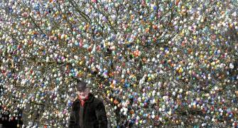 Easter Bunny cometh: German couple decorates tree with 10,000 eggs!