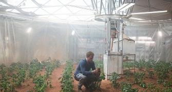 Growing crops in space, reaping the benefits on Earth